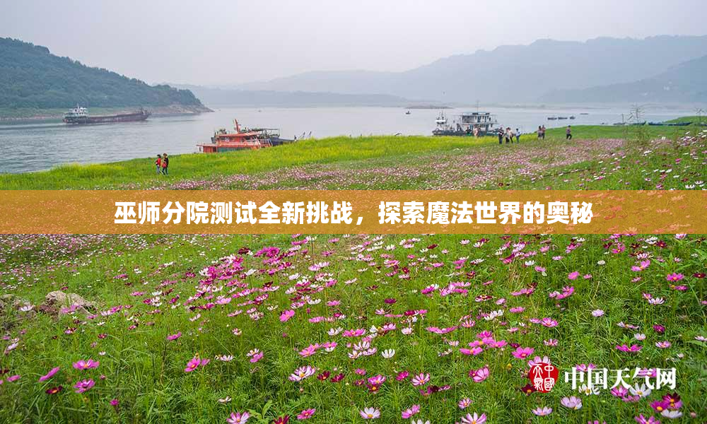 巫师分院测试全新挑战，探索魔法世界的奥秘