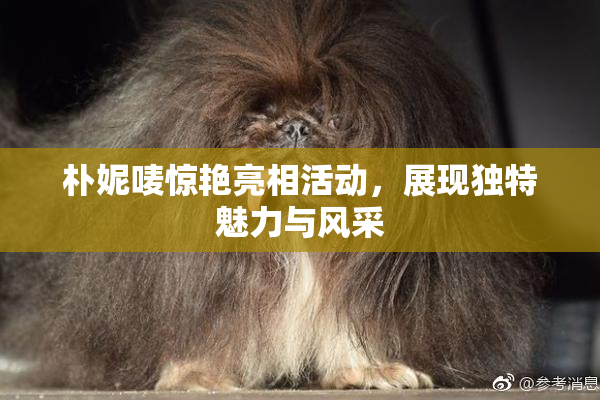 朴妮唛惊艳亮相活动，展现独特魅力与风采