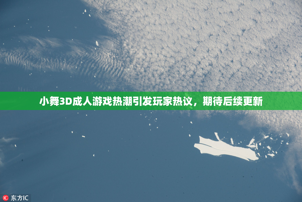 小舞3D成人游戏热潮引发玩家热议，期待后续更新