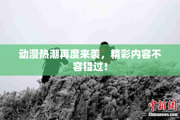 动漫热潮再度来袭，精彩内容不容错过！