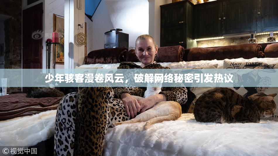 少年骇客漫卷风云，破解网络秘密引发热议