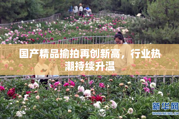 国产精品揄拍再创新高，行业热潮持续升温