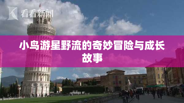 小鸟游星野流的奇妙冒险与成长故事