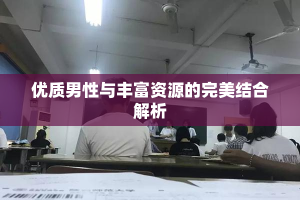 优质男性与丰富资源的完美结合解析