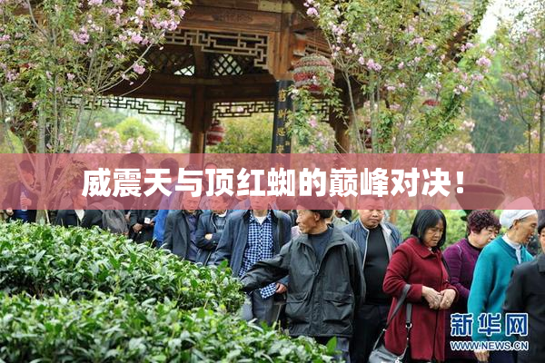 威震天与顶红蜘的巅峰对决！