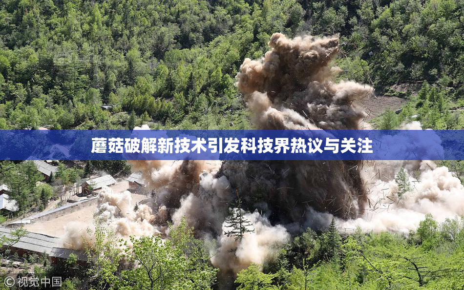 蘑菇破解新技术引发科技界热议与关注