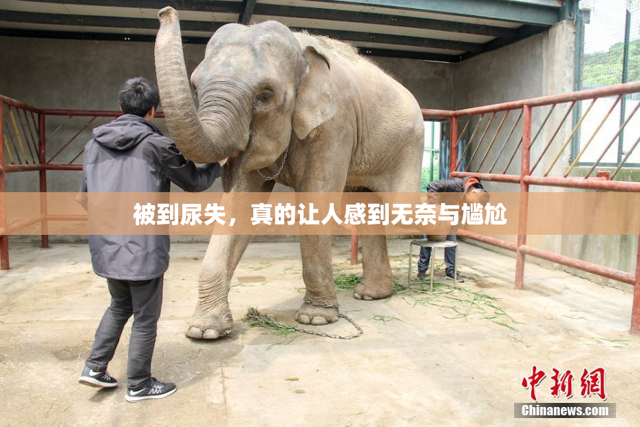 被到尿失，真的让人感到无奈与尴尬