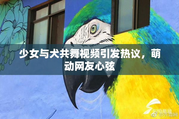 少女与犬共舞视频引发热议，萌动网友心弦