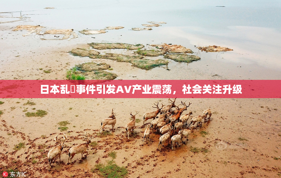 日本乱婬事件引发AV产业震荡，社会关注升级