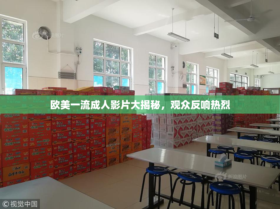 欧美一流成人影片大揭秘，观众反响热烈