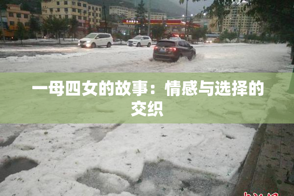 一母四女的故事：情感与选择的交织