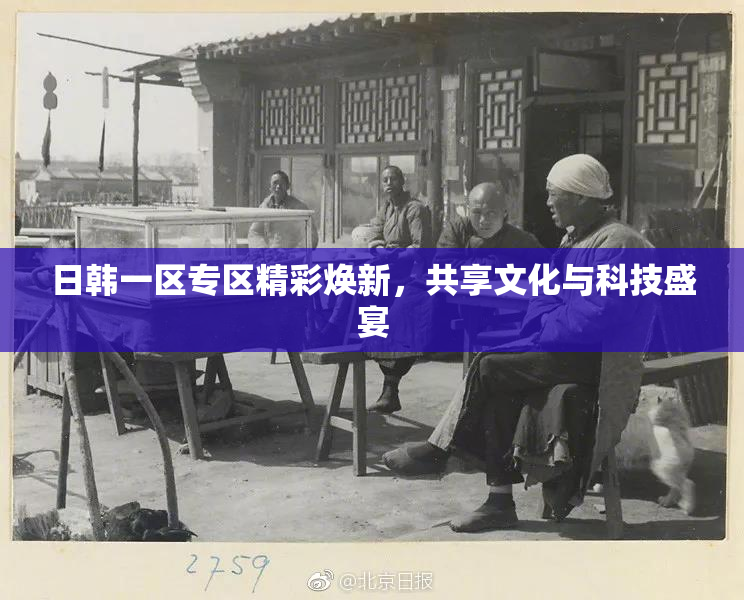 日韩一区专区精彩焕新，共享文化与科技盛宴