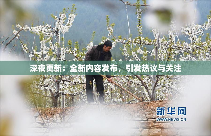 深夜更新：全新内容发布，引发热议与关注