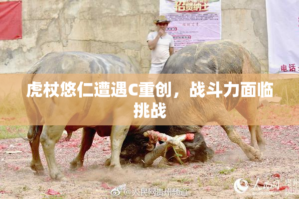 虎杖悠仁遭遇C重创，战斗力面临挑战