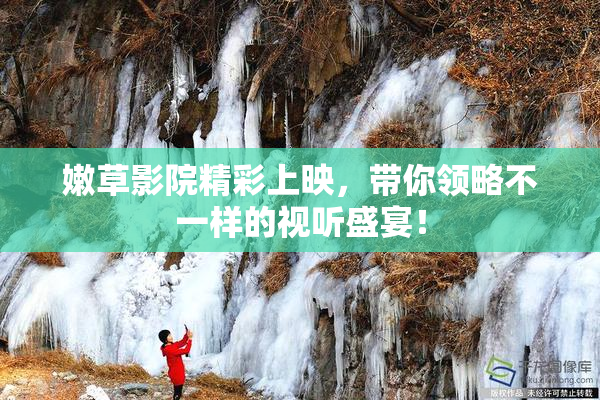 嫩草影院精彩上映，带你领略不一样的视听盛宴！