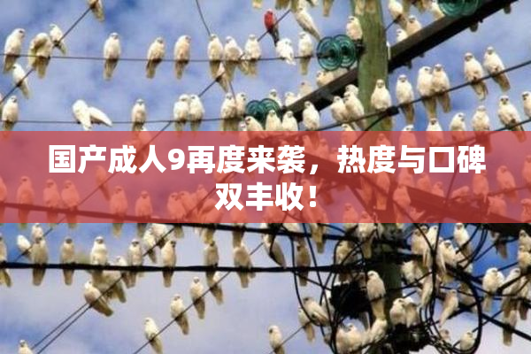 国产成人9再度来袭，热度与口碑双丰收！