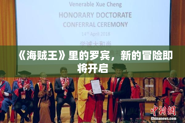 《海贼王》里的罗宾，新的冒险即将开启