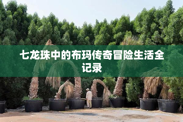 七龙珠中的布玛传奇冒险生活全记录