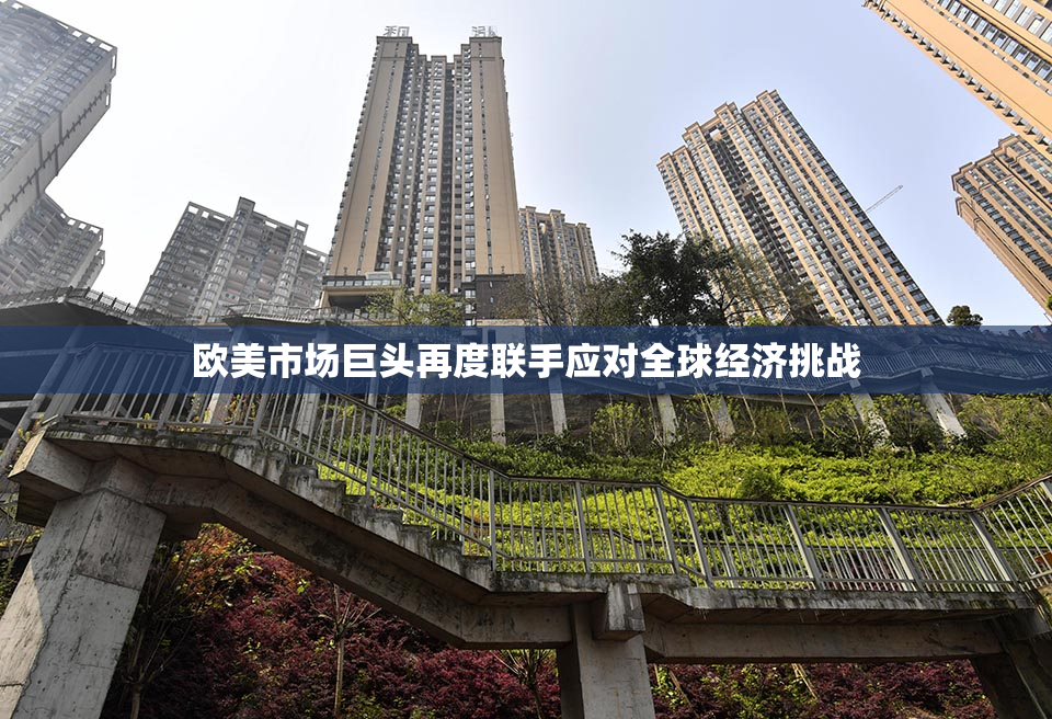 欧美市场巨头再度联手应对全球经济挑战