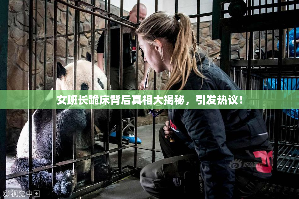 女班长跪床背后真相大揭秘，引发热议！
