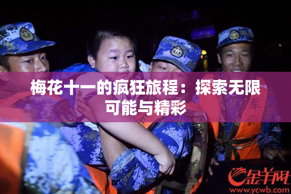 梅花十一的疯狂旅程：探索无限可能与精彩