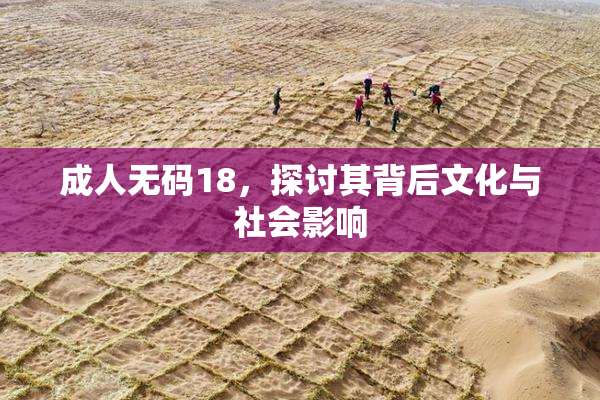 成人无码18，探讨其背后文化与社会影响