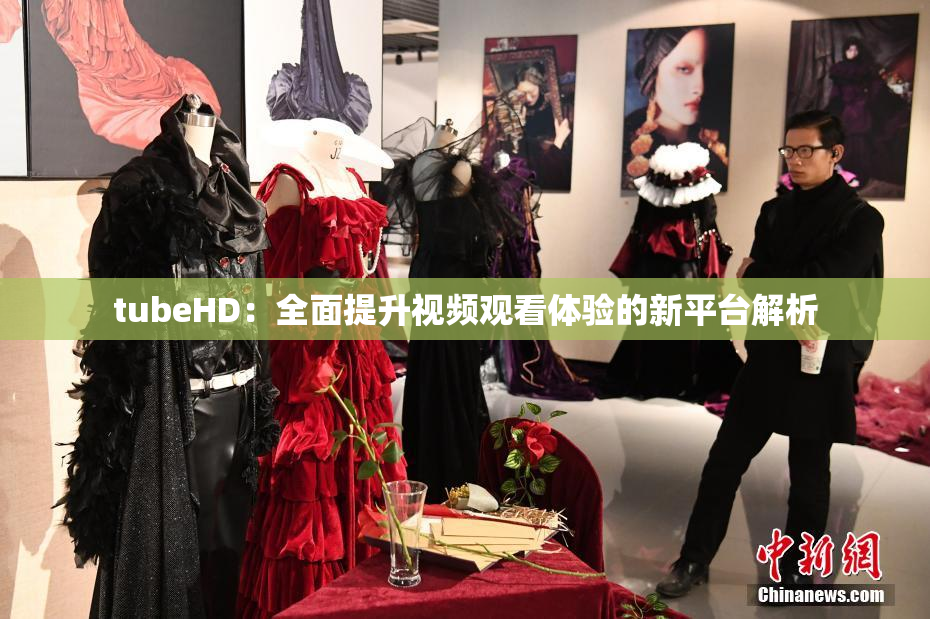 tubeHD：全面提升视频观看体验的新平台解析