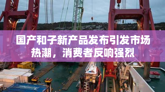 国产和子新产品发布引发市场热潮，消费者反响强烈