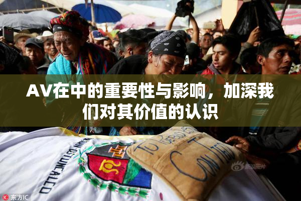 AV在中的重要性与影响，加深我们对其价值的认识