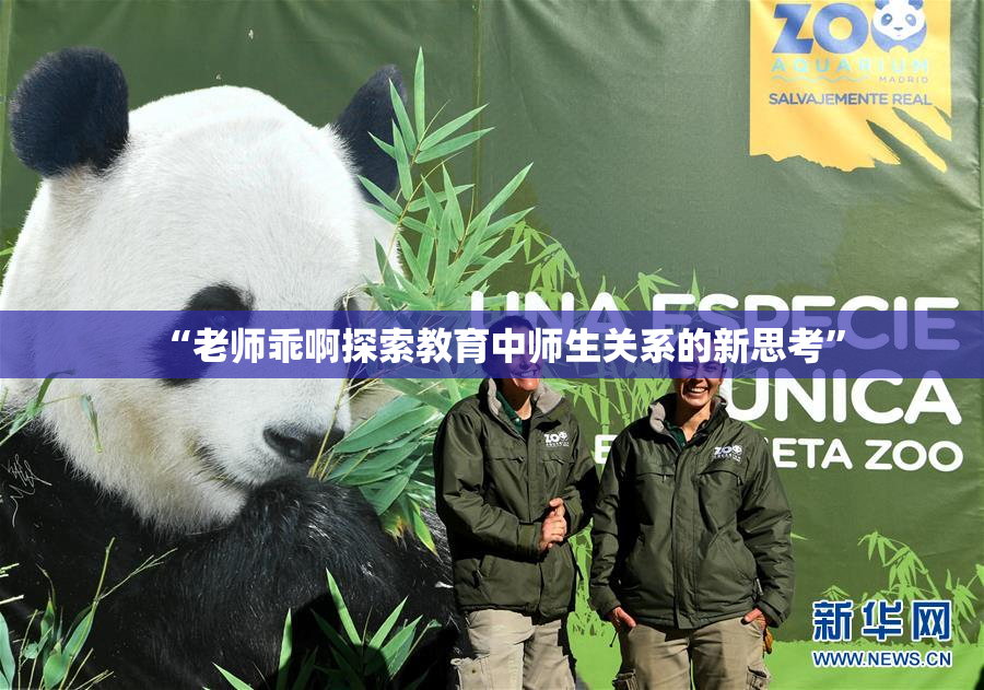 “老师乖啊探索教育中师生关系的新思考”