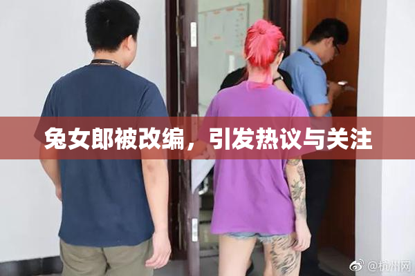 兔女郎被改编，引发热议与关注