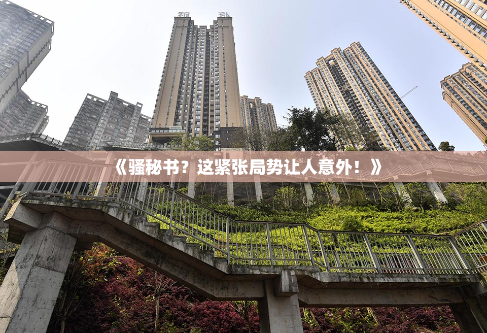 《骚秘书？这紧张局势让人意外！》