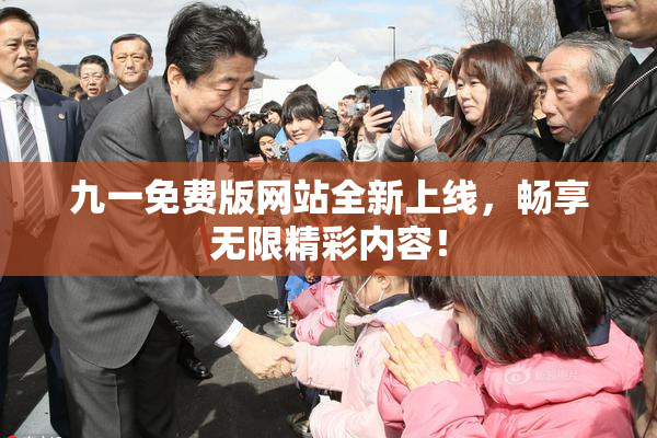 九一免费版网站全新上线，畅享无限精彩内容！