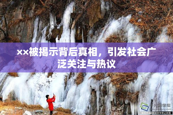 ××被揭示背后真相，引发社会广泛关注与热议