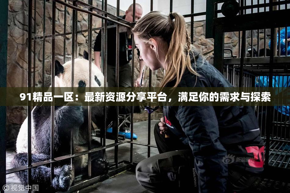 91精品一区：最新资源分享平台，满足你的需求与探索