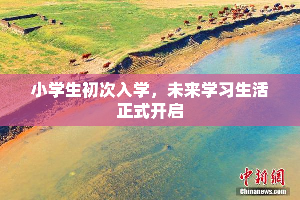 小学生初次入学，未来学习生活正式开启
