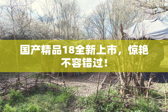 国产精品18全新上市，惊艳不容错过！