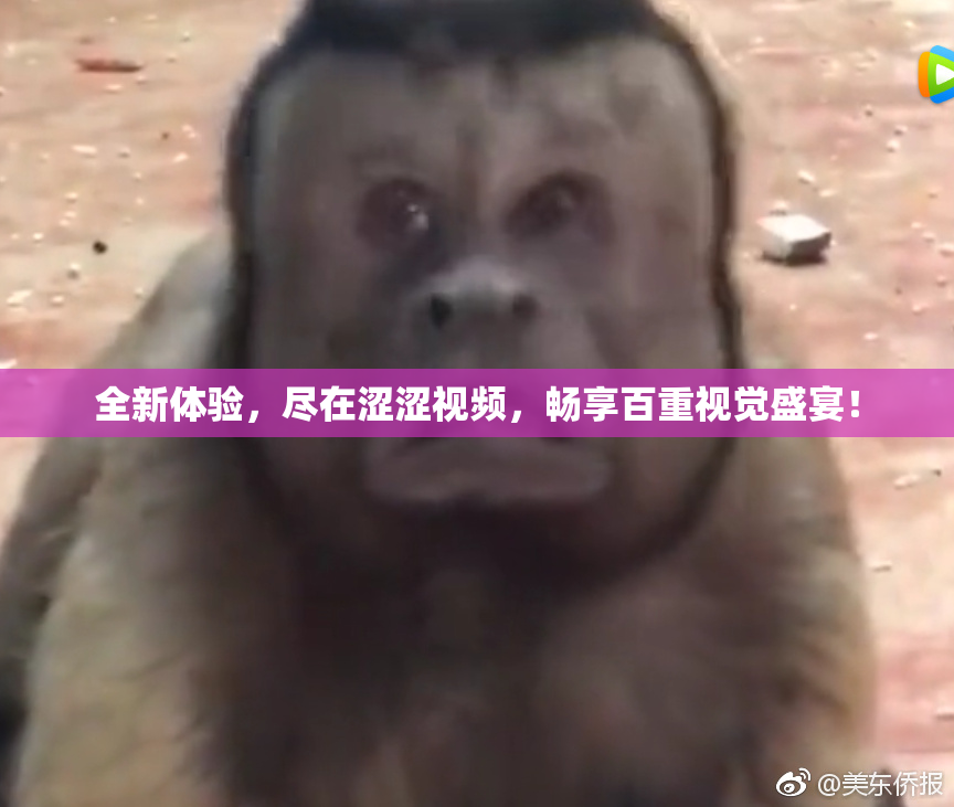 全新体验，尽在涩涩视频，畅享百重视觉盛宴！