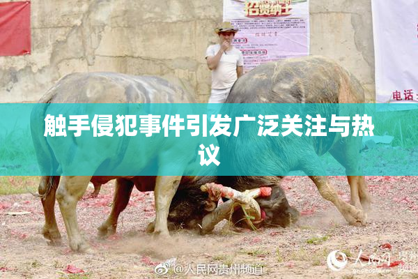 触手侵犯事件引发广泛关注与热议