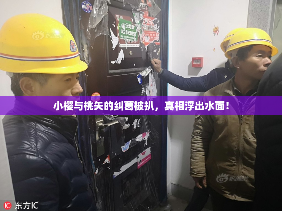 小樱与桃矢的纠葛被扒，真相浮出水面！