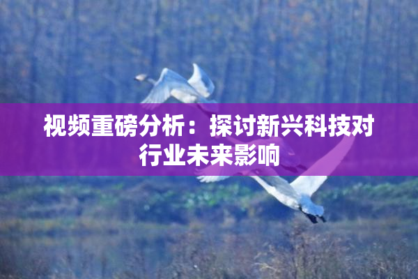 视频重磅分析：探讨新兴科技对行业未来影响