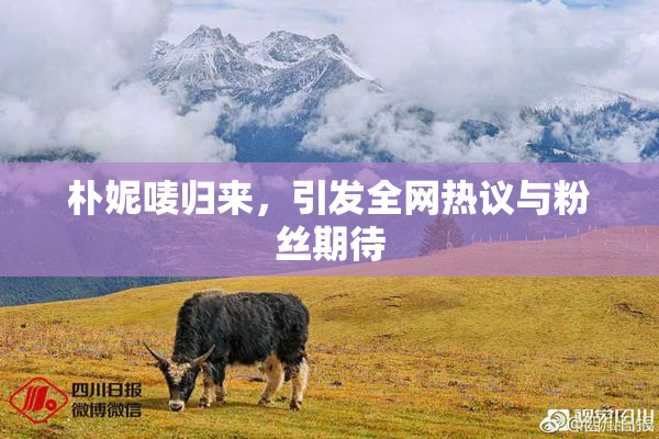 朴妮唛归来，引发全网热议与粉丝期待