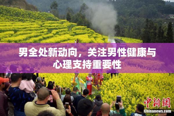 男全处新动向，关注男性健康与心理支持重要性