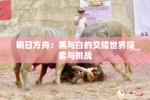 明日方舟：黑与白的交错世界探索与挑战
