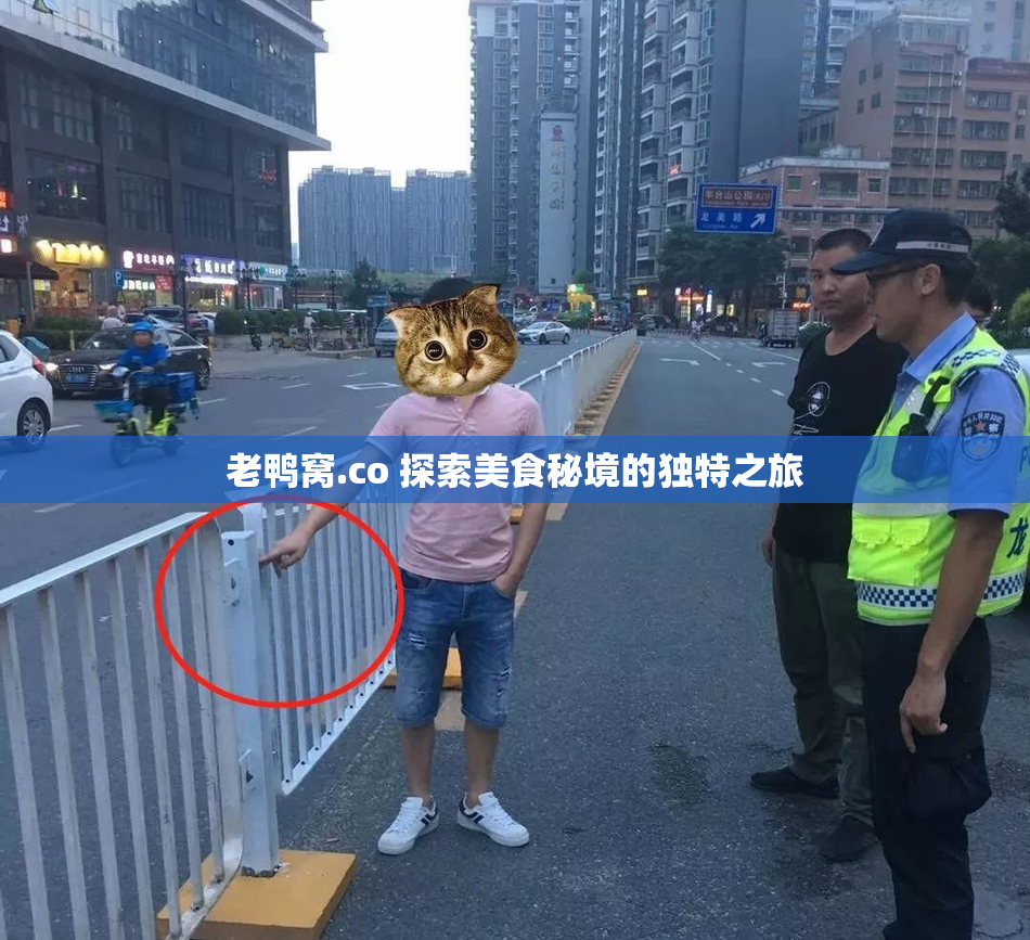 老鸭窝.co 探索美食秘境的独特之旅