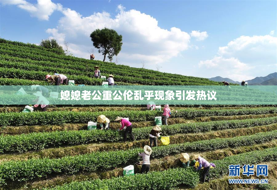 媳媳老公重公伦乱乎现象引发热议