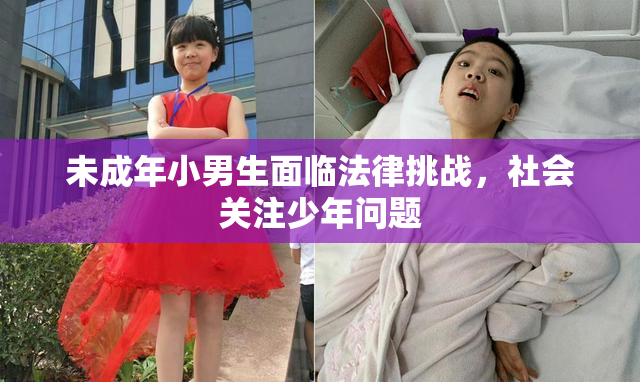 未成年小男生面临法律挑战，社会关注少年问题
