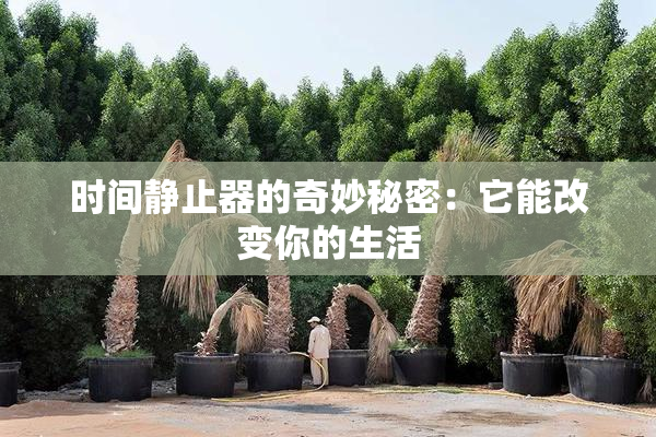 时间静止器的奇妙秘密：它能改变你的生活