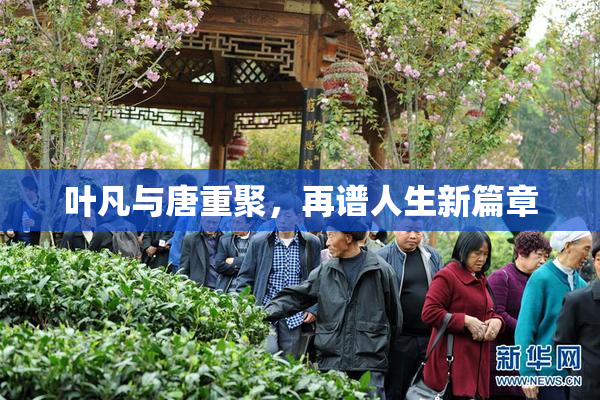 叶凡与唐重聚，再谱人生新篇章