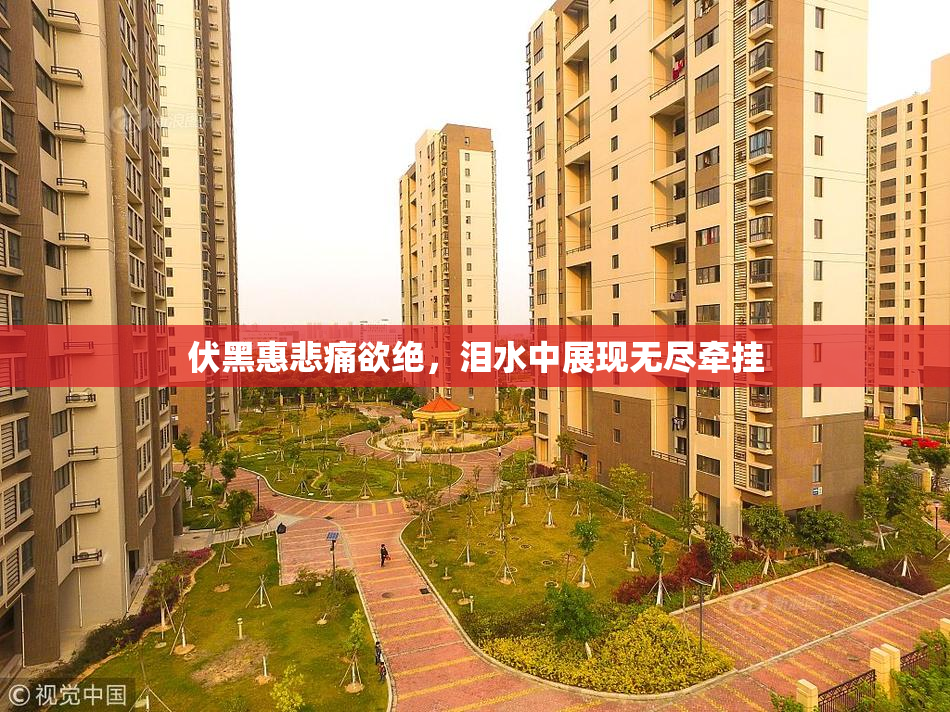 伏黑惠悲痛欲绝，泪水中展现无尽牵挂
